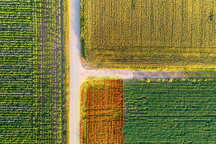 Lovell Johns Blog Drones for mapping solutions Agriculture